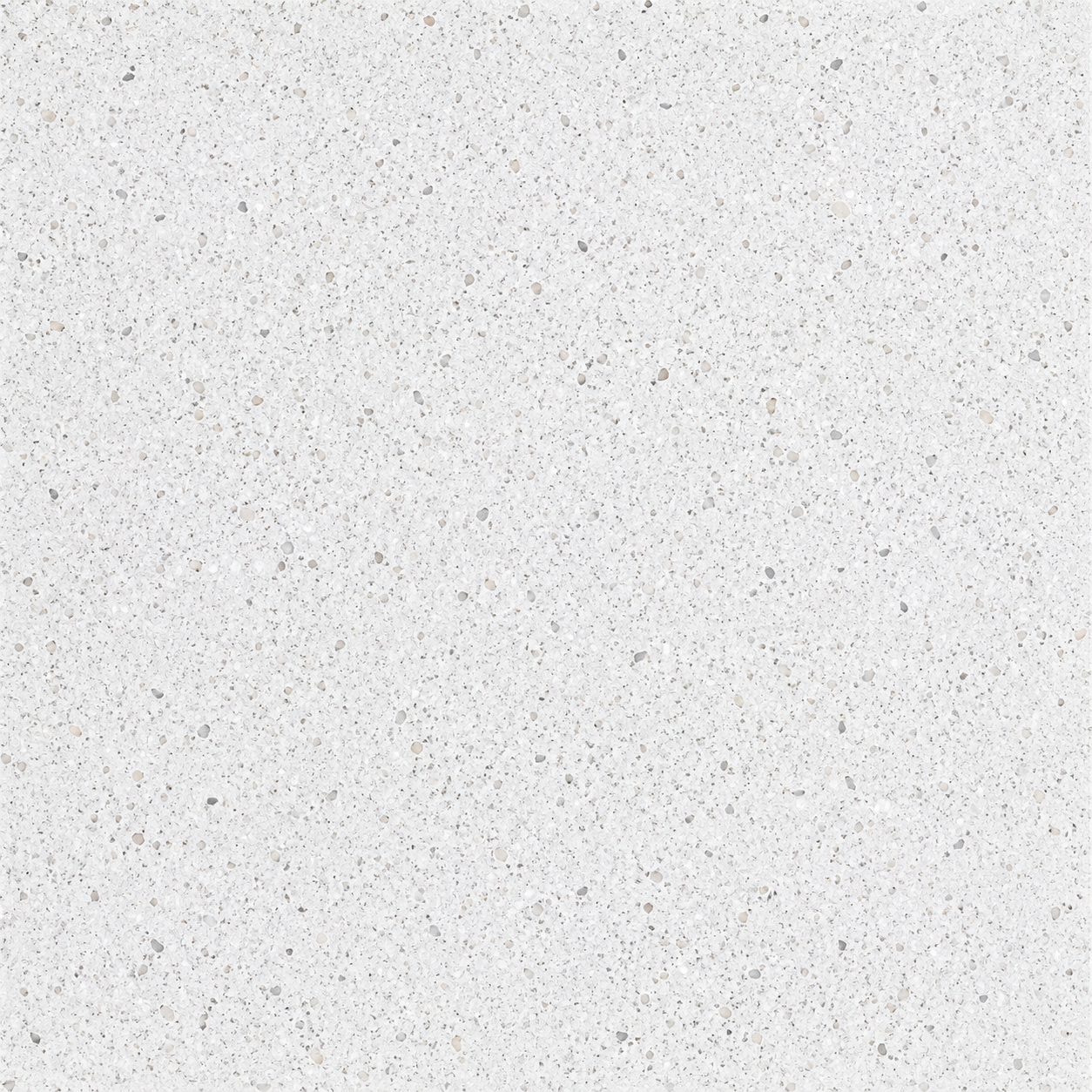 AVIGNON 50X50 DARWIN WHITE REC